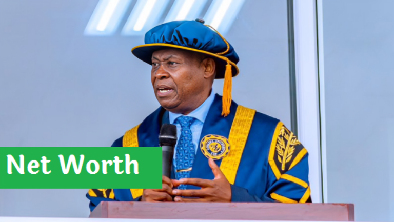 Adedeji Adeleke Net Worth