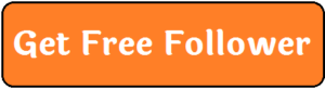 Instagram Free Follower