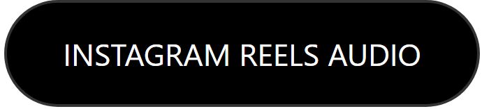 INSTAGRAM REELS AUDIO